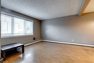 Photo 5: 151 3809 45 Street SW in Calgary: Glenbrook Row/Townhouse for sale : MLS®# A2129121