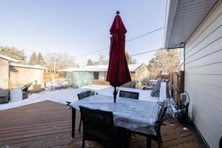 Photo 35: 44 Lynndale Road SE in Calgary: Ogden Detached for sale : MLS®# A1178802