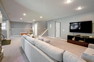 Photo 44: 167 Mt Assiniboine Circle SE in Calgary: McKenzie Lake Detached for sale : MLS®# A1243199
