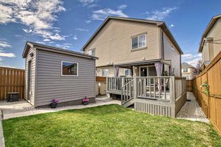 Photo 37: 266 Cranford Park SE in Calgary: Cranston Semi Detached (Half Duplex) for sale : MLS®# A2078950