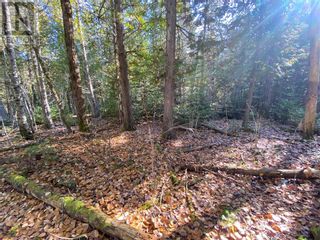 Photo 20: 6 Sandy Point in Manitowaning: Vacant Land for sale : MLS®# 2112427