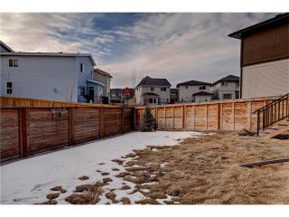 Photo 26: 53 WALDEN Close SE in Calgary: Walden House for sale : MLS®# C4099955