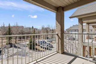 Photo 14: 320 4000 Citadel Meadow Point NW in Calgary: Citadel Apartment for sale : MLS®# A2123539