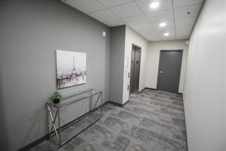 Photo 22: 302 70 Philip Lee Drive in Winnipeg: Crocus Meadows Condominium for sale (3K)  : MLS®# 202018779