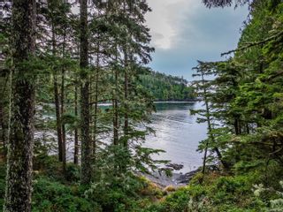 Photo 7: 330 Reef point Rd in Ucluelet: PA Ucluelet House for sale (Port Alberni)  : MLS®# 951614