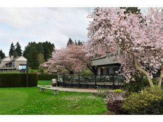 Photo 6: 12 14065 NICO WYND Place in Surrey: Elgin Chantrell Home for sale ()  : MLS®# F1440781