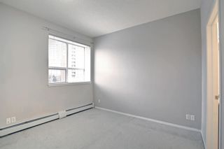 Photo 15: 416 1053 10 Street SW in Calgary: Beltline Apartment for sale : MLS®# A1164525