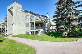 Photo 39: 2137 70 GLAMIS Drive SW in Calgary: Glamorgan Apartment for sale : MLS®# C4299389