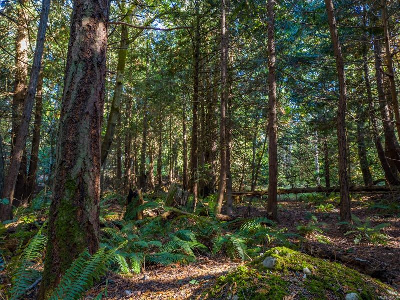 FEATURED LISTING: Lot D Conery Cres Pender Island