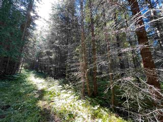 Photo 19: LOT 3 CAVE Road in Williams Lake: Horsefly Land for sale : MLS®# R2719437