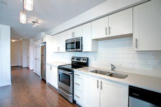 Photo 11: 4303 99 Copperstone Park SE in Calgary: Copperfield Apartment for sale : MLS®# A1212340