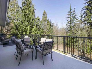 Photo 17: 11225 PALMER ROLPH Street in Maple Ridge: Thornhill MR House for sale : MLS®# R2447226