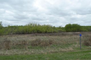 Photo 1: 13 Vincent Way in Rural Stettler No. 6, County of: Rural Stettler County Residential Land for sale : MLS®# A2047444