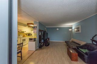 Photo 7: 102 5645 BARKER Avenue in Burnaby: Central Park BS Condo for sale in "CENTRAL PARK PLACE" (Burnaby South)  : MLS®# R2119755