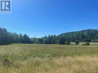 Photo 39: 1137 Route 170 in Oak Bay: Vacant Land for sale : MLS®# NB075049