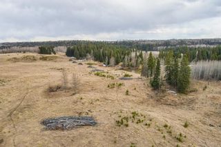 Photo 27: 64049 (A&B) Highway 54: Rural Clearwater County Agriculture for sale : MLS®# A1209840