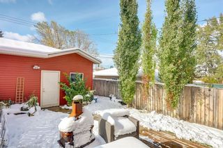 Photo 29: 4619 84 Street NW in Calgary: Bowness Semi Detached for sale : MLS®# C4271032