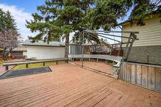 Photo 35: 4808 70 Street NW in Calgary: Bowness Detached for sale : MLS®# A1158089