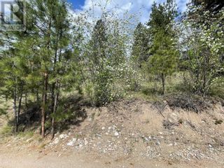Photo 68: 554 Bluebird Drive in Vernon: Vacant Land for sale : MLS®# 10276995
