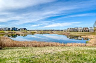 Photo 47: 173 Marquis Point SE in Calgary: Mahogany Detached for sale : MLS®# A1217451