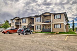 Photo 2: 304 8 Bayside Place: Strathmore Row/Townhouse for sale : MLS®# A2051808
