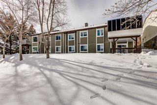 Photo 31: 95 Coach Side Terrace SW in Calgary: Coach Hill Semi Detached (Half Duplex) for sale : MLS®# A2029741