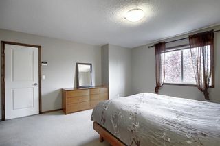 Photo 16:  in Calgary: Cranston Detached for sale : MLS®# A1024102