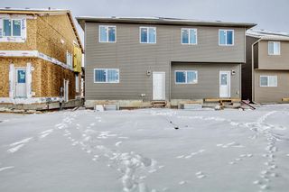 Photo 41: 283 Wolf Creek Way SE in Calgary: C-281 Semi Detached (Half Duplex) for sale : MLS®# A2023309