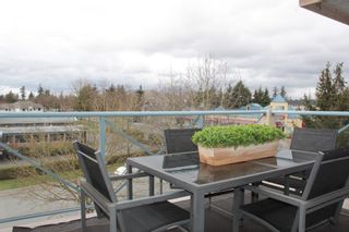 Photo 11: 305 22150 48 Avenue in Langley: Murrayville Condo for sale in "Eaglecrest" : MLS®# R2149684