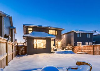 Photo 42: 40 CRANBROOK Circle SE in Calgary: Cranston Detached for sale : MLS®# A2006840