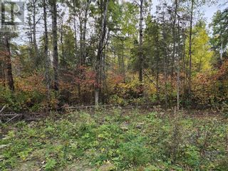Photo 11: 14 Birch St in Manitowaning: Vacant Land for sale : MLS®# 2113802