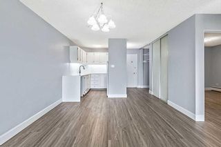 Photo 45: 102 320 Cedar Crescent SW in Calgary: Spruce Cliff Apartment for sale : MLS®# A2144191