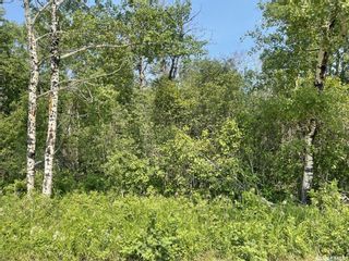 Photo 2: Lot 11 Shady Bay Road in Meeting Lake: Lot/Land for sale : MLS®# SK936853