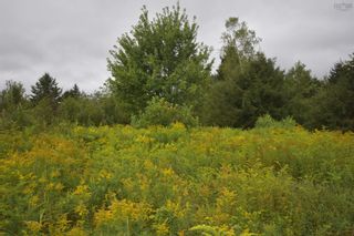 Photo 15: Lot 5 No 12 Highway in Murphy Lake: Kings County Vacant Land for sale (Annapolis Valley)  : MLS®# 202401271