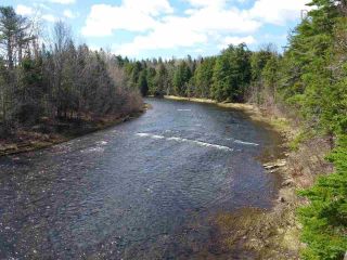 Photo 5: Lot 5928 East River West Side Road in Eureka: 108-Rural Pictou County Vacant Land for sale (Northern Region)  : MLS®# 202314450