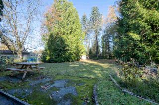 Photo 35: 14165 PARK Drive in Surrey: Bolivar Heights House for sale (North Surrey)  : MLS®# R2516660