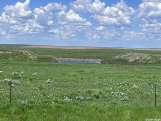 Photo 41: Rapley Ranch & Arena in Lone Tree: Farm for sale (Lone Tree Rm No. 18)  : MLS®# SK932414