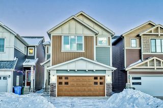 Photo 1: 144 Homestead Grove NE in Calgary: C-686 Detached for sale : MLS®# A2011705