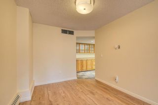 Photo 20: 201 2425 90 Avenue SW in Calgary: Palliser Apartment for sale : MLS®# A1052664