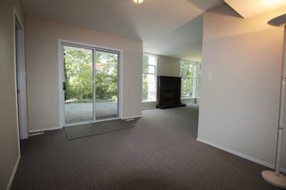 Photo 13: 54 4847 219 Street in Langley: Murrayville Townhouse for sale in "Waterford Ridge" : MLS®# R2198384