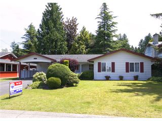 Photo 1: 11710 195B Street in Pitt Meadows: South Meadows House for sale : MLS®# V968896