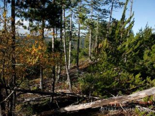 Photo 8: LT 7 Goldstream Heights Dr in MILL BAY: ML Mill Bay Land for sale (Malahat & Area)  : MLS®# 831644