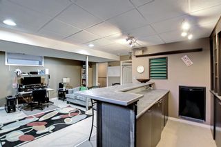 Photo 44: 25 Martha's Meadow Place NE in Calgary: Martindale Detached for sale : MLS®# A1259180