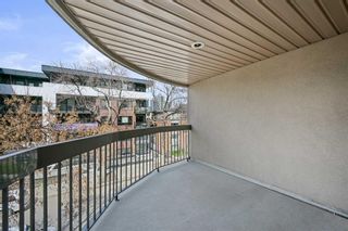 Photo 19: 302 317 19 Avenue SW in Calgary: Mission Apartment for sale : MLS®# A2128598
