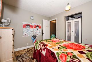 Photo 20: 96 Castlegreen Close NE in Calgary: Castleridge Detached for sale : MLS®# A1175060