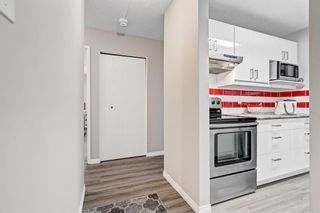 Photo 26: 511 8948 Elbow Drive SW in Calgary: Haysboro Apartment for sale : MLS®# A2019611
