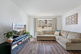 Photo 17: 31 Copperpond Place SE in Calgary: Copperfield Semi Detached for sale : MLS®# A1202664