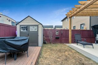 Photo 29: 49 Skyview Point Green NE in Calgary: Skyview Ranch Semi Detached for sale : MLS®# A1202725