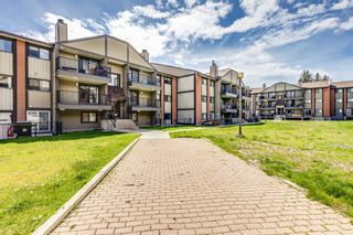 Main Photo: 2206 13045 6 Street SW in Calgary: Canyon Meadows Apartment for sale : MLS®# A2134638