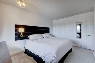 Photo 14: 3407 Cedarille Drive SW in Calgary: Cedarbrae Semi Detached (Half Duplex) for sale : MLS®# A2125470